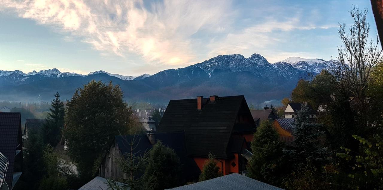 Willa Ceprowka Zakopane Esterno foto